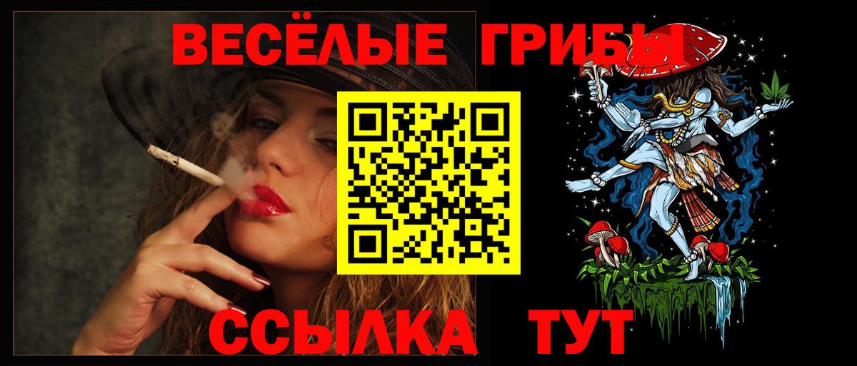 Киселёвск  Псилоцибиновые грибы прущие грибы  Вход с VPN  Галлюциногенные грибы Psilocybe 